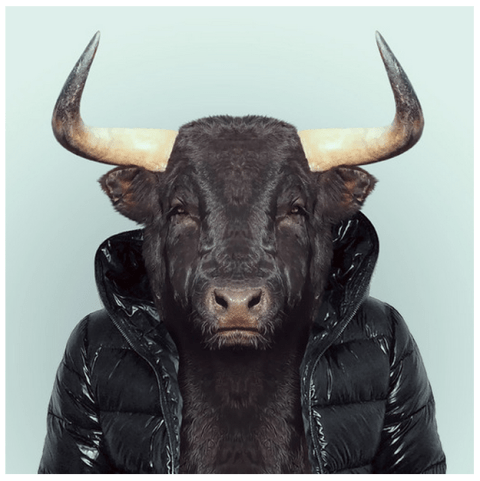 Screen Shot 2013-04-10 at 7.06.27 PM