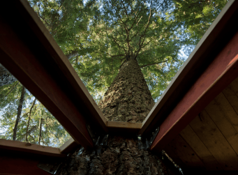 Screen Shot 2013-05-30 at 8.21.28 AM